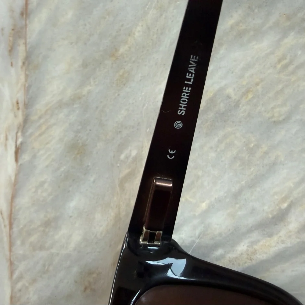 Classic Men's Wayfarer Sunglasses in Dark Brown
